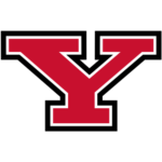 Youngstown State University Logo - YSU